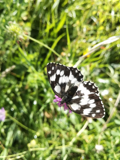Vittoria Farm - Thumbnail