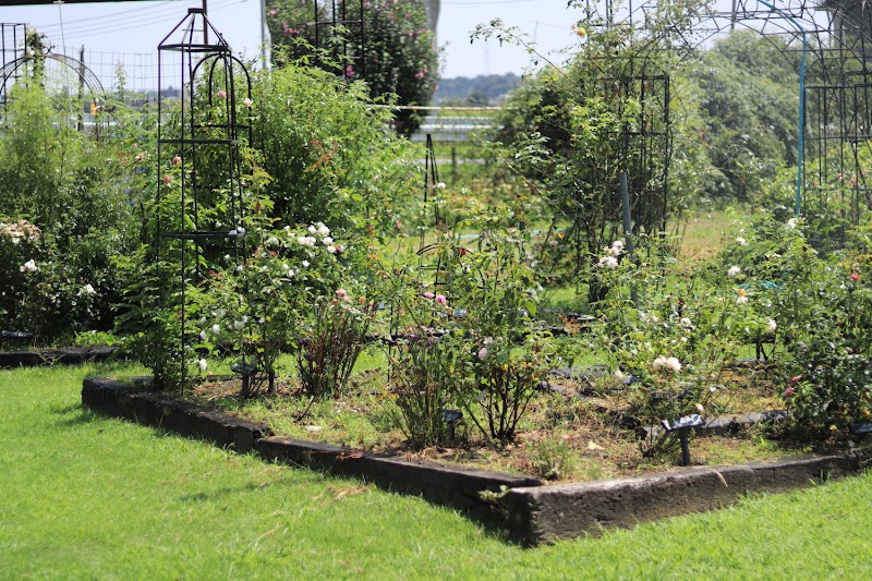 Garden Place 花のワルツ