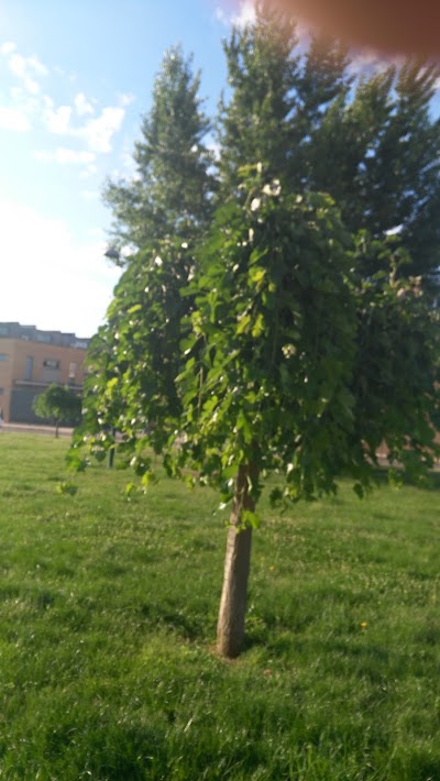 Photos of Parque de Maltravieso