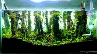 aquarium
