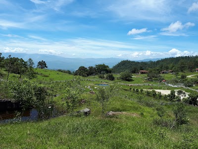 Photos of Finca El Olvido
