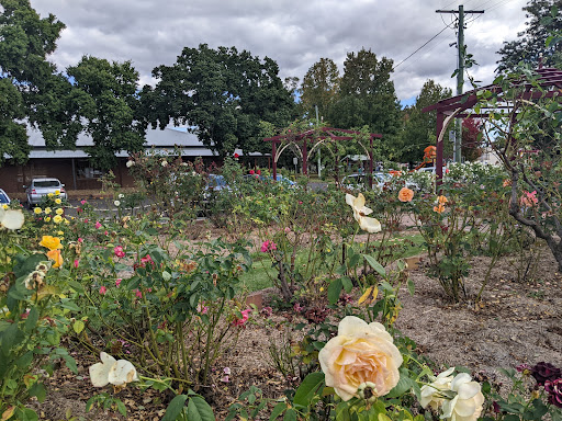 Rose Garden Coffee Place - Thumbnail