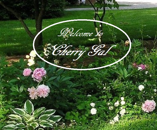 CherryGal.com - Visual