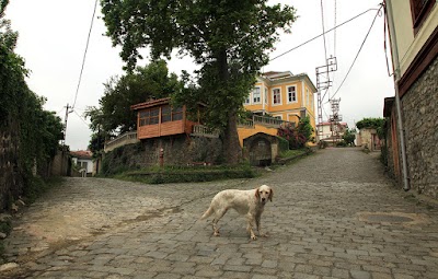 Saint Joseph Kilisesi,Akçaabat, Ortamahalle