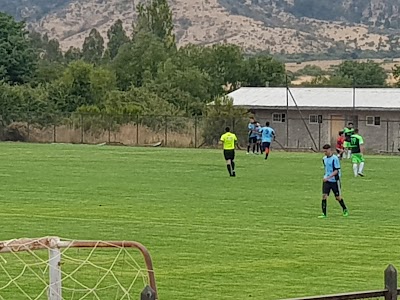 Photos of Estadio Municipal Rinc&oacute;n Los Perales