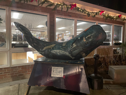 Downtown Mystic Shops - Thumbnail