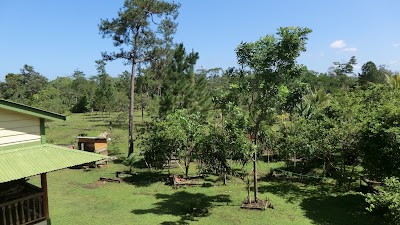 Photos of Hotel Papa Tara