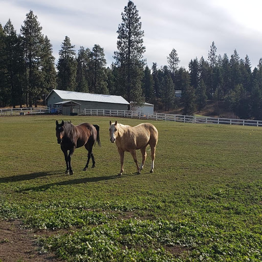 Pleasant Valley Stables & Event Center - Thumbnail