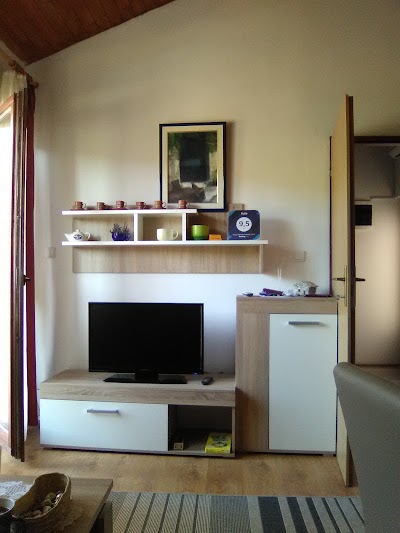 Photos of Ruža