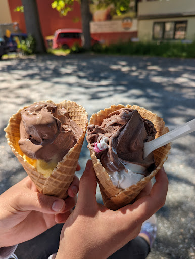 Dr Zwänzer Eismaa