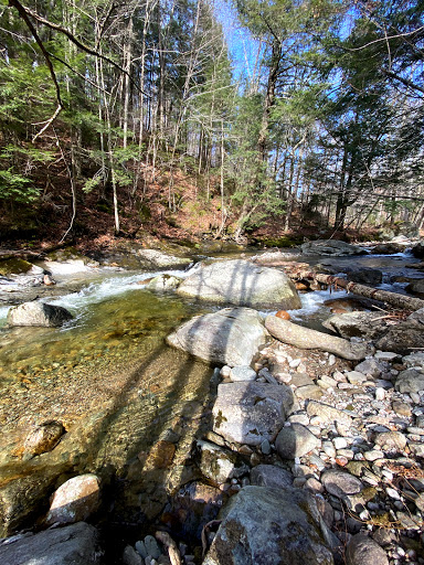 Jim Jeffords State Forest - United States