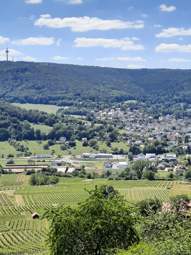 Waldlehrpfad Bürgstadt Logo