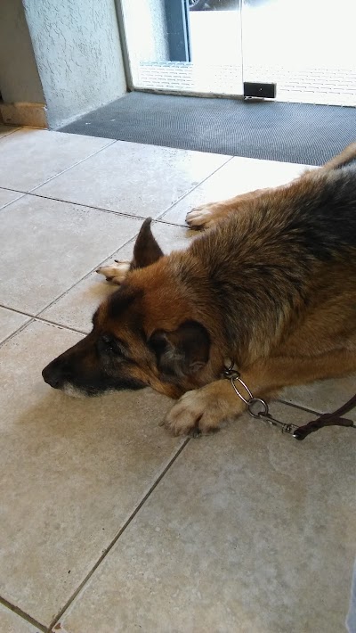 Photos of Veterinary Clinic Sandaza