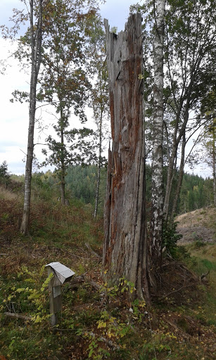 Moster Heddas KisteTräd