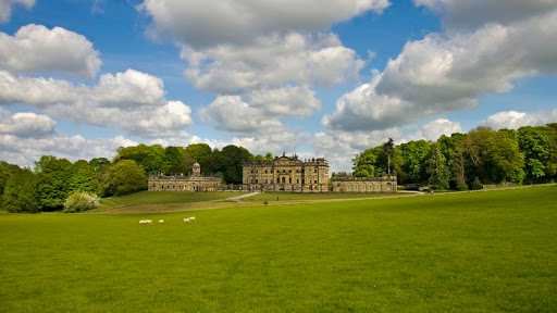 Duncombe Park - Visual