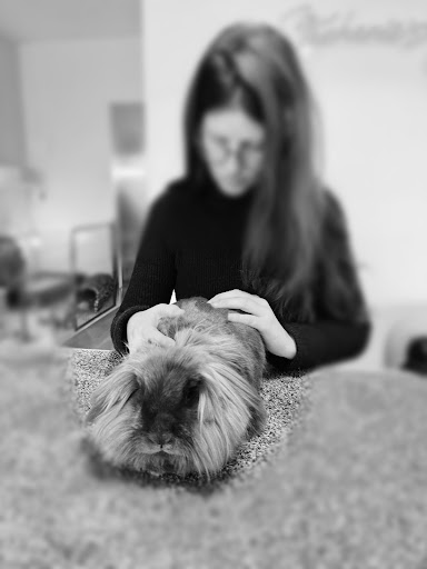 Dierenfysiotherapeut & Hondenosteopaat / dierenosteopaat i.o - Thumbnail