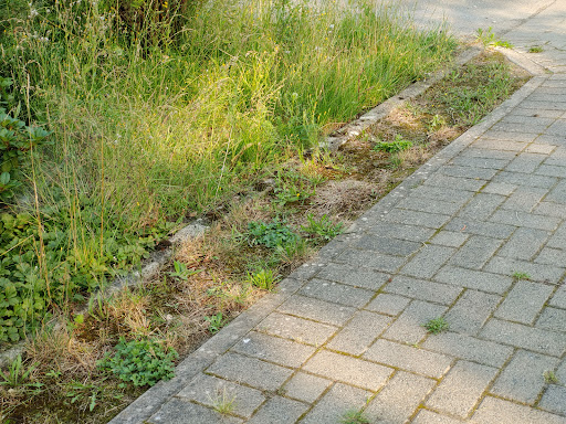 Jöllenbeck Cemetery - Thumbnail