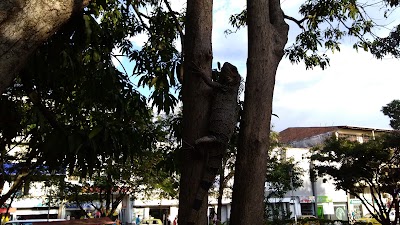Photos of Supermercado Colsubsidio