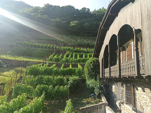 Cantine Angelinetta - Thumbnail