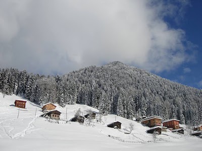 Rize Gezileri - RİZE GÜNÜBİRLİK TURLAR