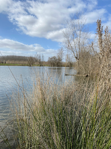 Lac de la Gravette Gallery - France