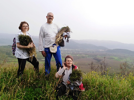 Isernia SS627 C.da Fragnete