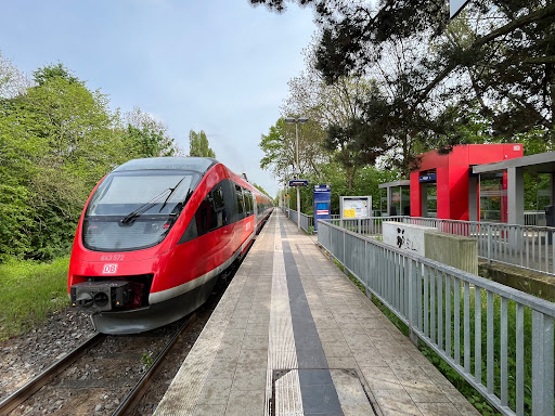 Münster-Häger - Thumbnail