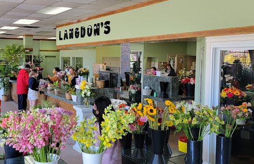 Langdon's Flowers - Visual