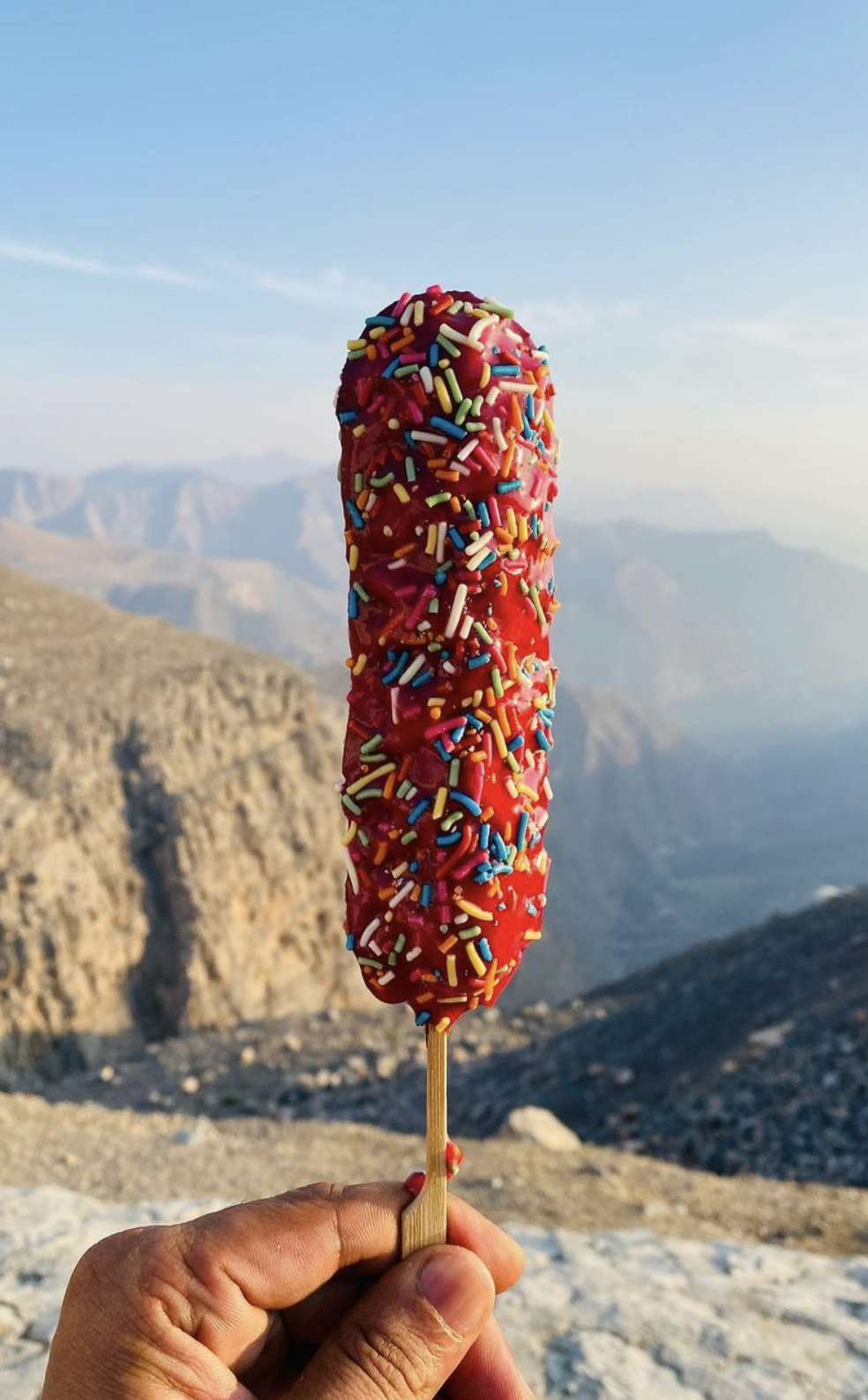 ١٤٨٤ من بورو - صورة 3