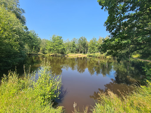 Réserve naturelle des landes de Blendecques - Thumbnail