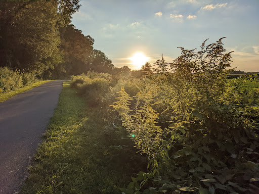 Pumpkinvine Nature Trail Parking, CR 37 & 22