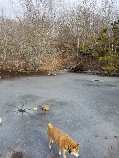 Pawcatuck River - Thumbnail