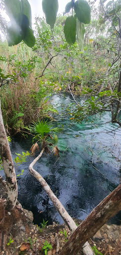 Cenote Escondido (Mayan Blue) - Thumbnail