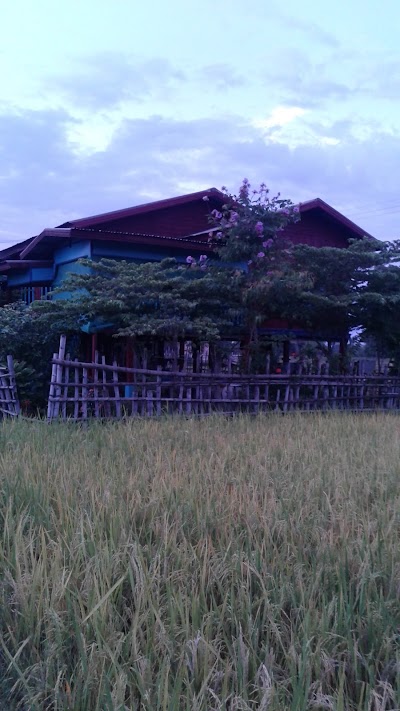 Photos of Don Som