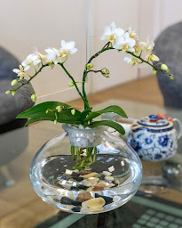 Photo n°10 de Au Jardin d'Ava 真诚花店 à Paris (Fleuriste)