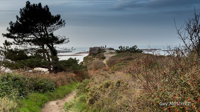 Plage de Trégastel