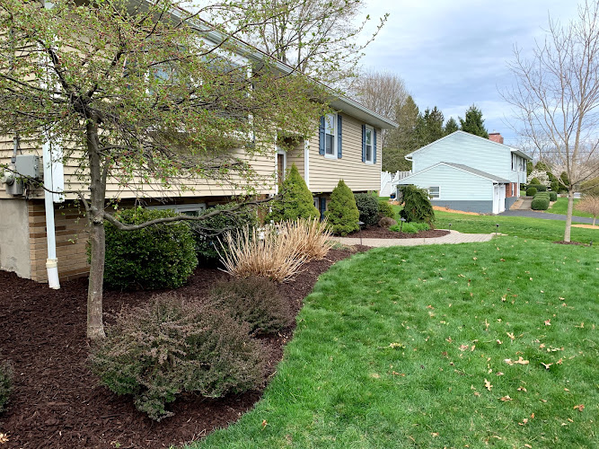 Freer Landscaping