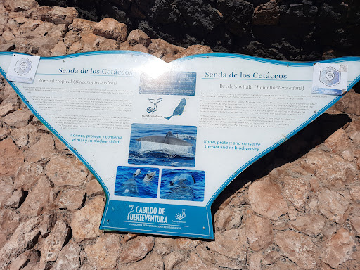 Fuerteventura - Thumbnail
