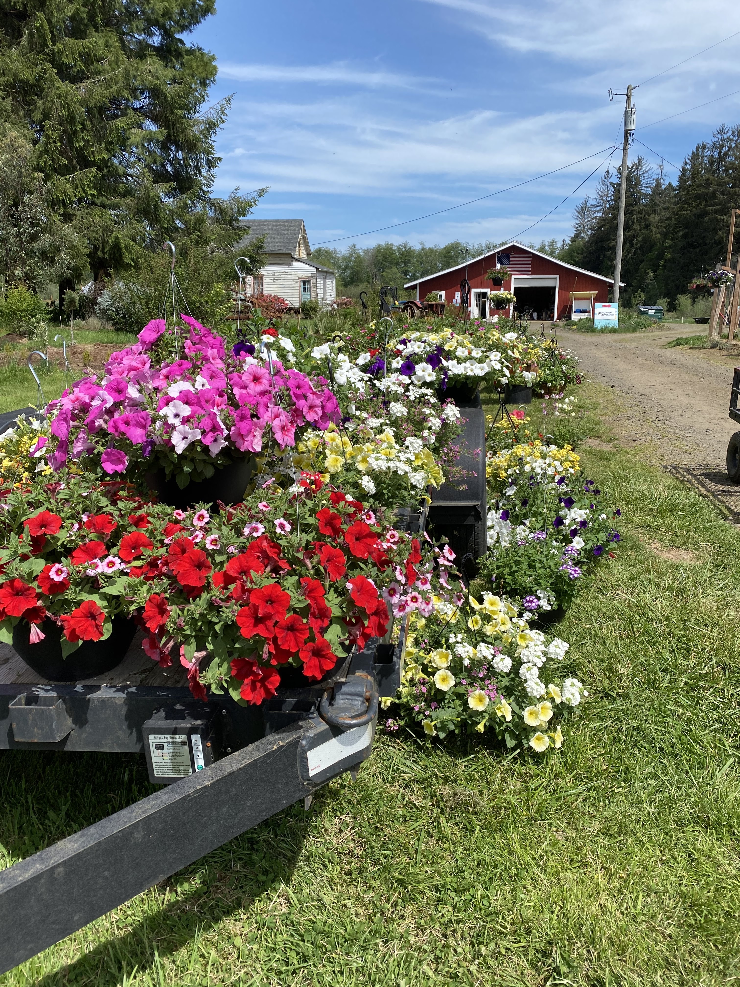 Blackberry Bog Farm