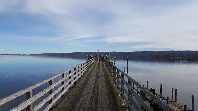 Lac Ammer