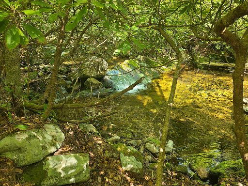 Red Fork Falls - Visual