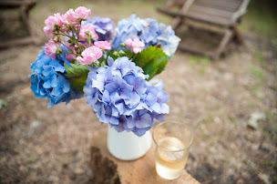 Photo n°9 de La Teouleyre, Gîtes, Chambres d'Hôtes, Camping et Lodges à Saint-Julien-en-Born (Logement meublé)