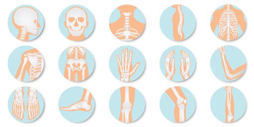 AlmaPhysio - Visual