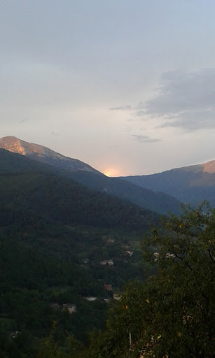 Molinari Santina