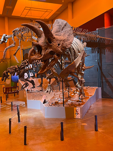 Museo del Desierto Chihuahuense (MUDECH) - Thumbnail
