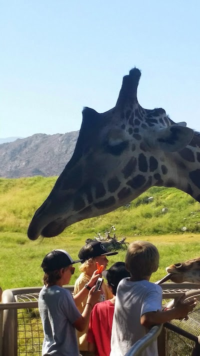Photos of The Living Desert Zoo & Gardens
