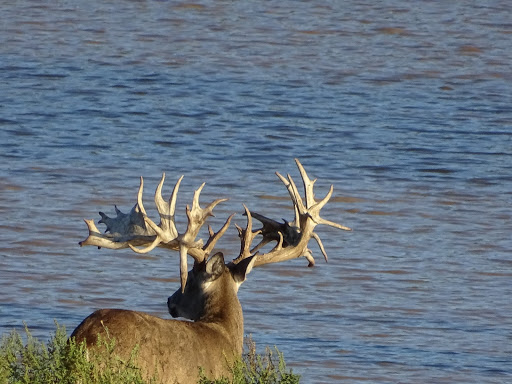 Squaw Mountain Ranch - Visual
