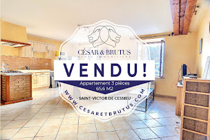 Photo n°7 de Régie immobilière César et Brutus à Lyon (Agence immobilière)