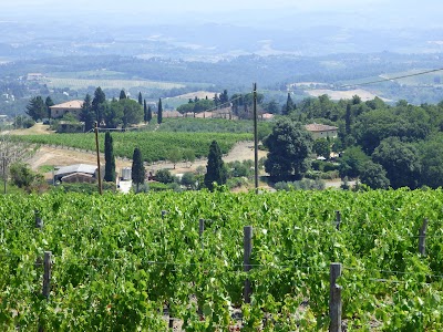 Azienda Agricola San Quirico