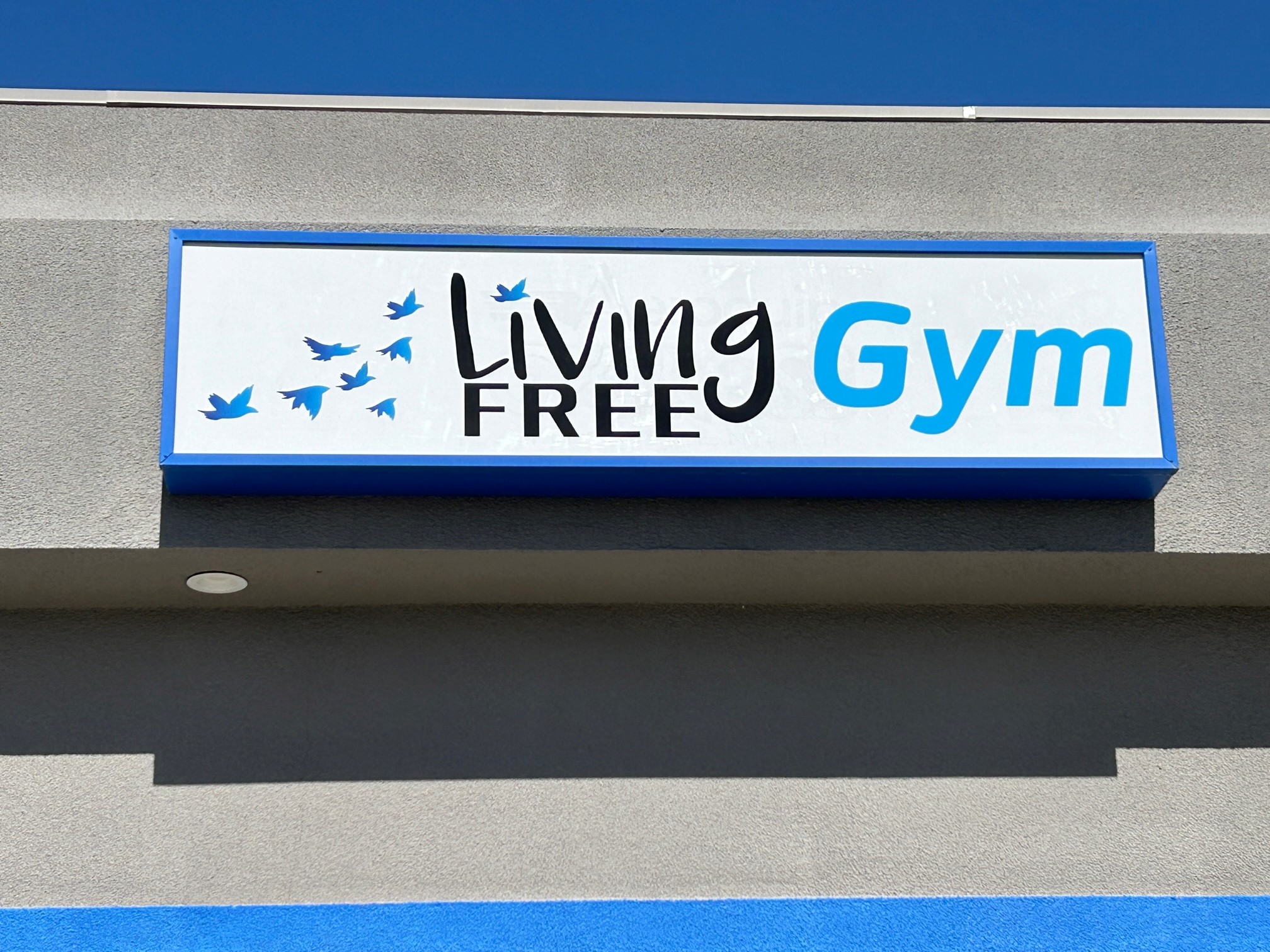 Living Free Gym photo 17
